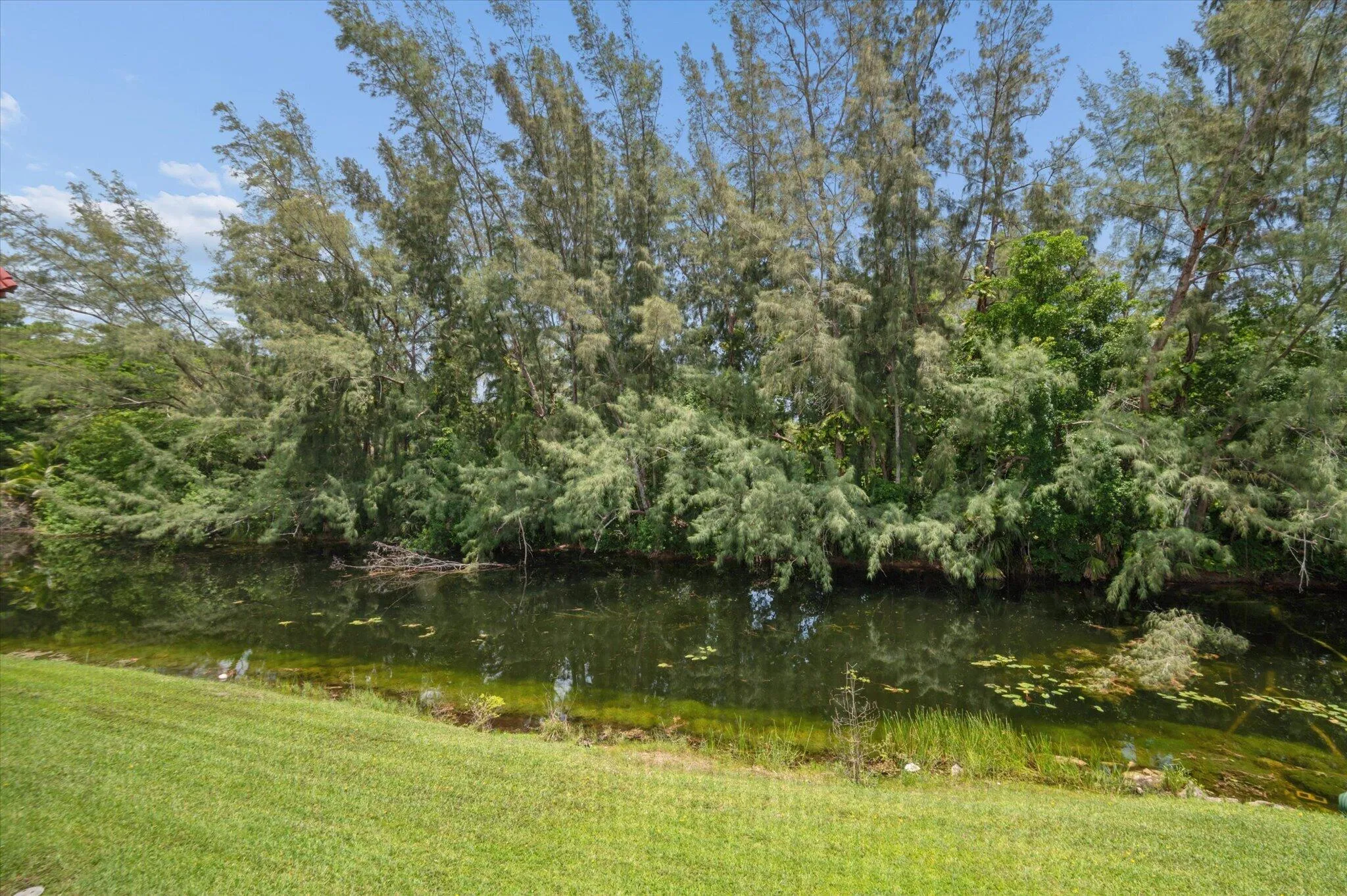 13-Borzillieri-473 Lake Francis Dr-13