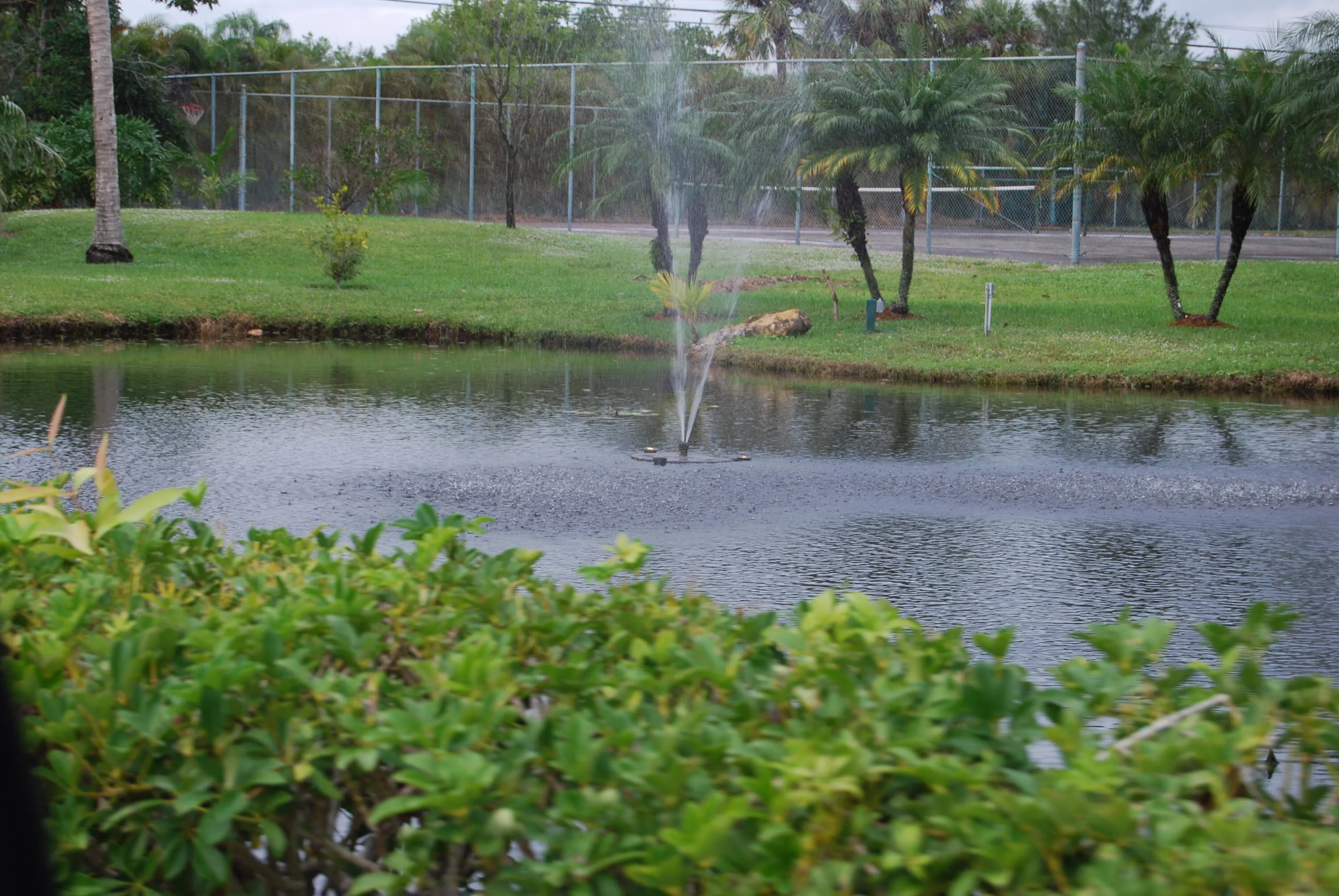DSC_0045