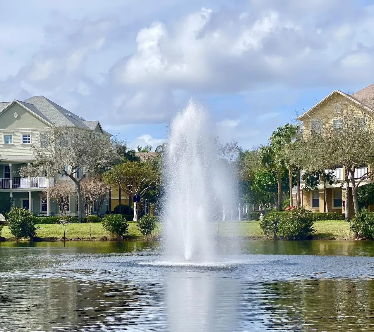 Fountain View