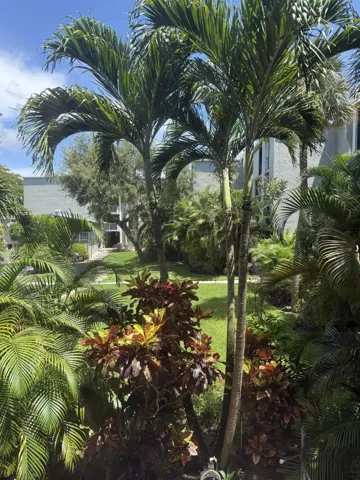 View From Second Bedroom