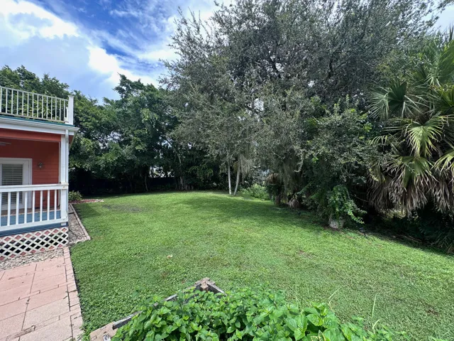 39. backyard