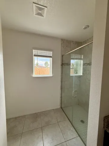 Primary Shower