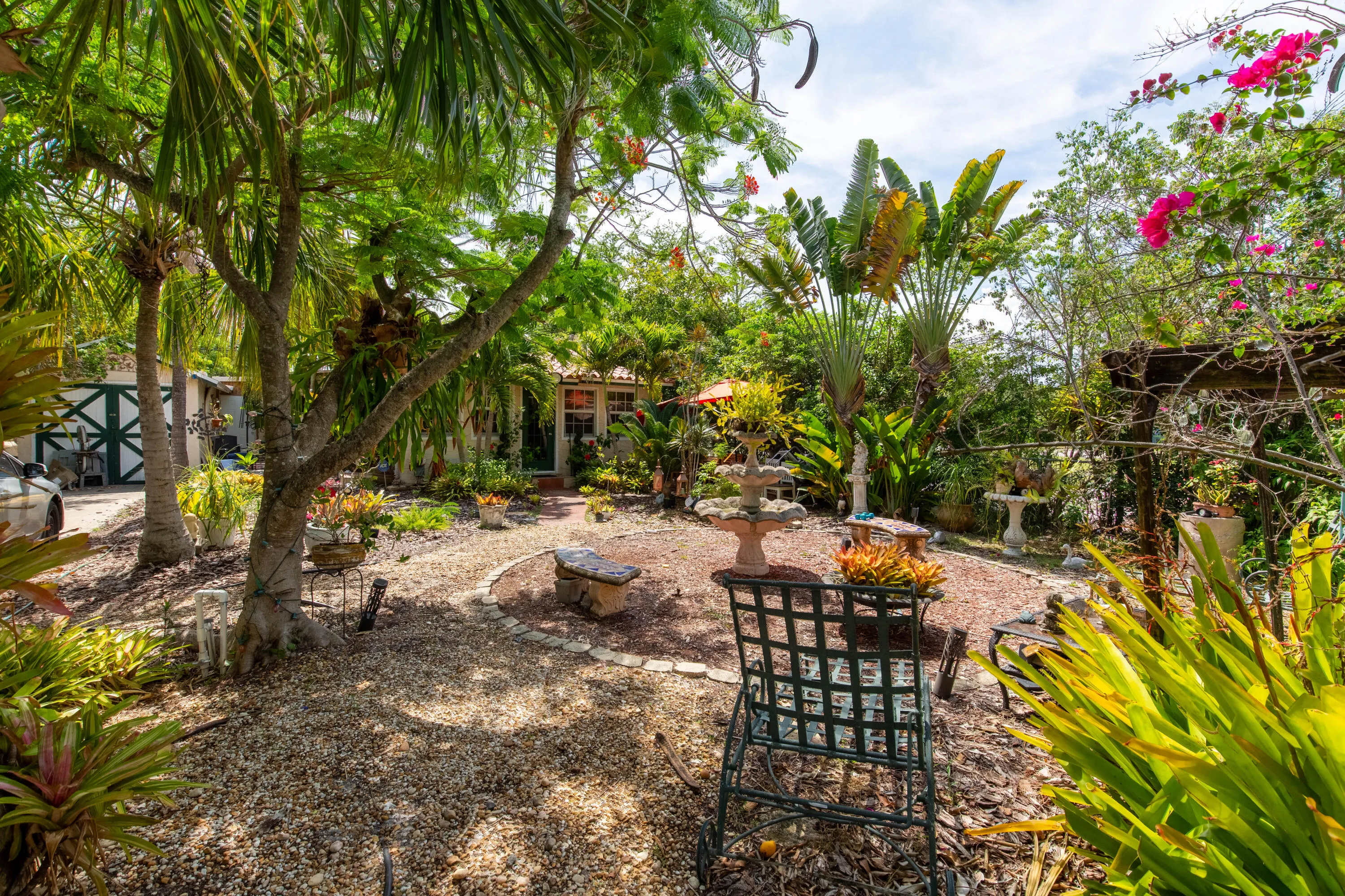 talk about tropical oasis