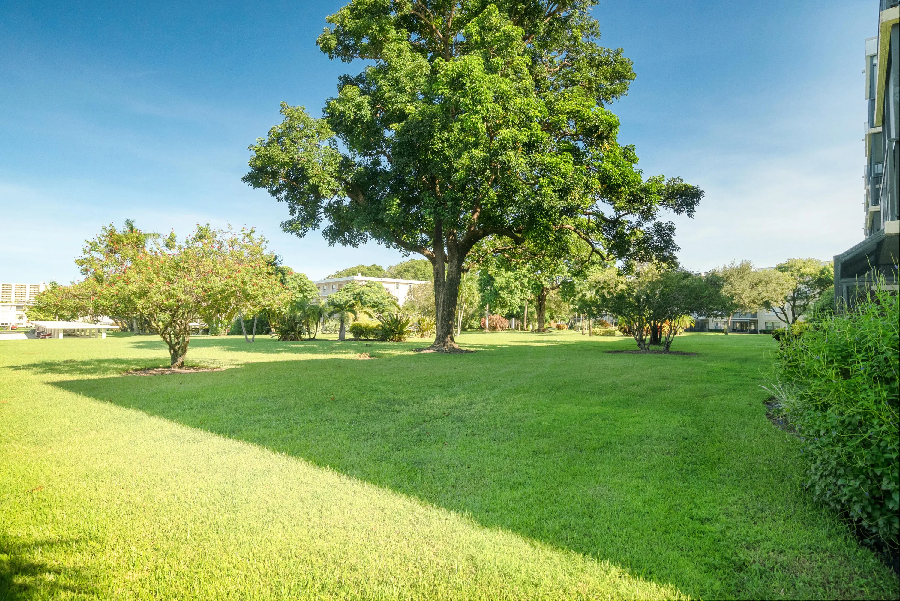 Greenspace views