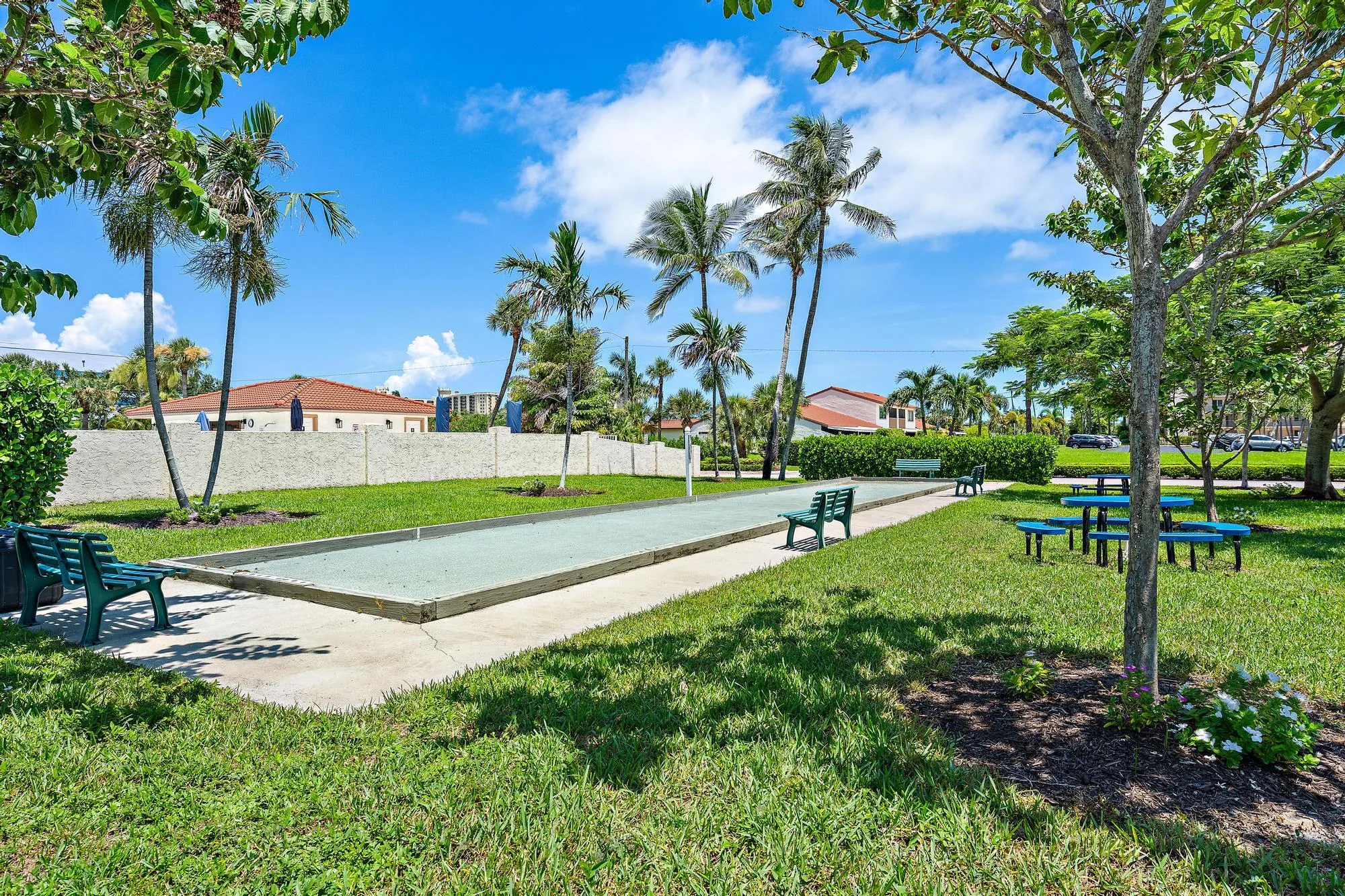 Shuffleboard