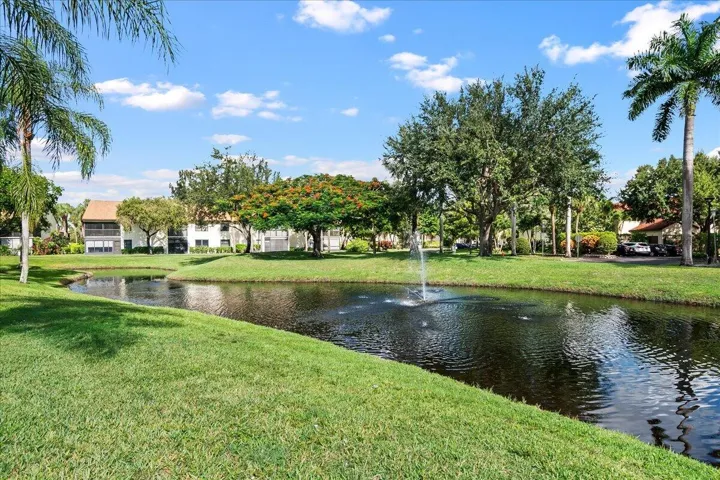 Lake View from unit
