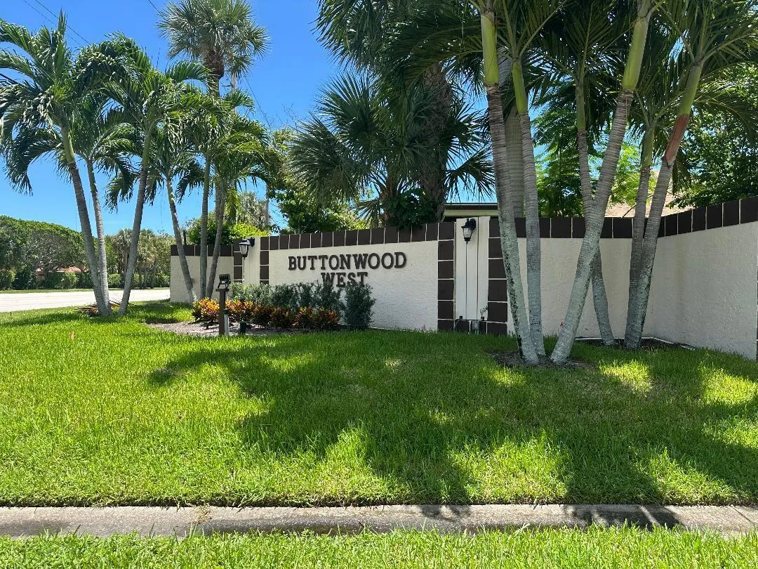 Buttonwood