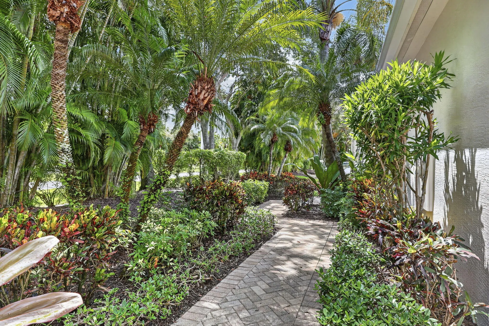 Lush landscape