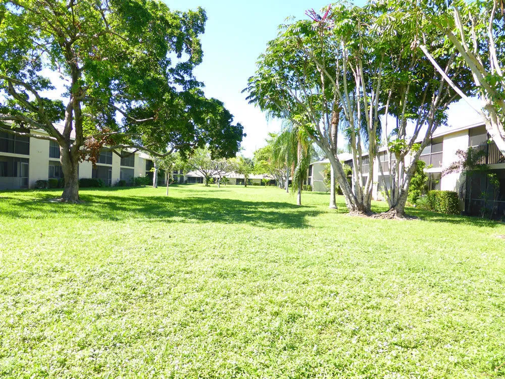 Park Between Buildings