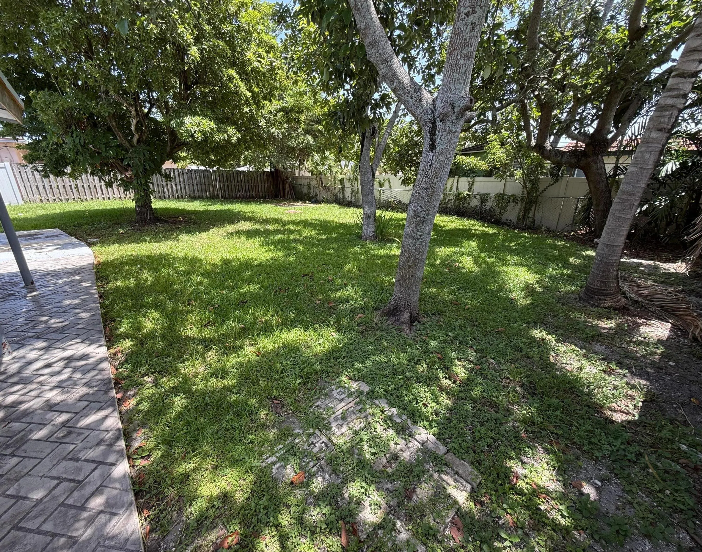 Backyard