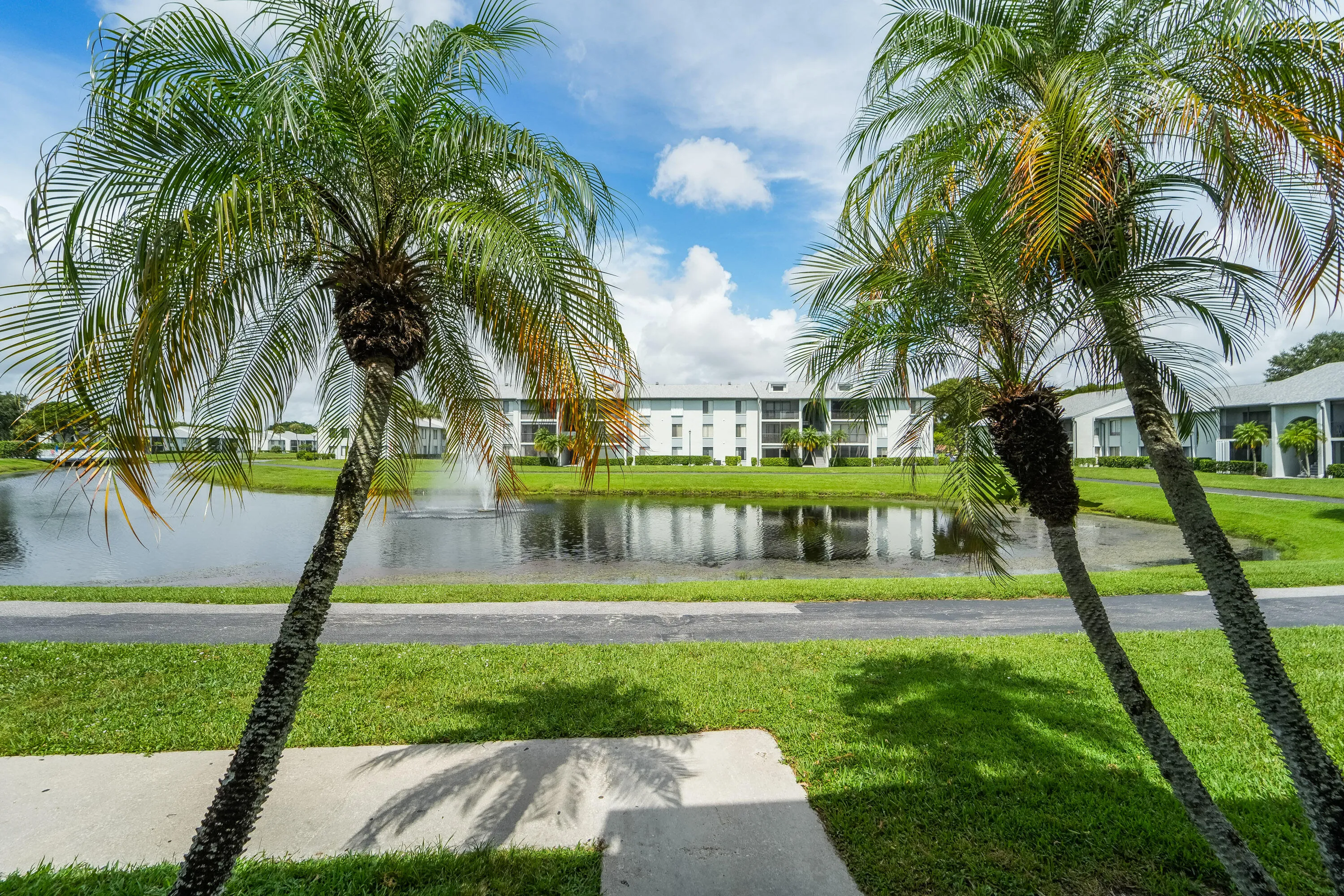 1013GreenPine-1