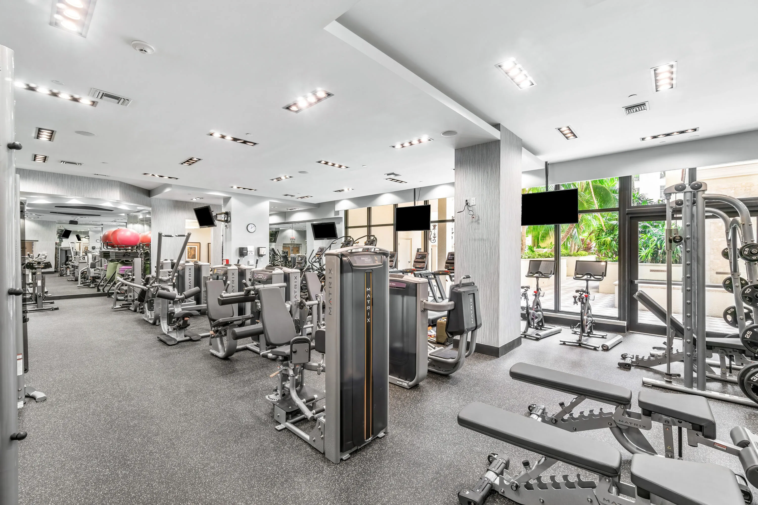 Fully Renovated Gym