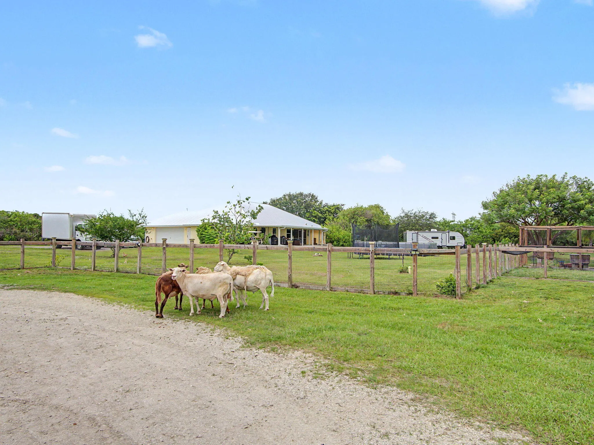 Property photo 54