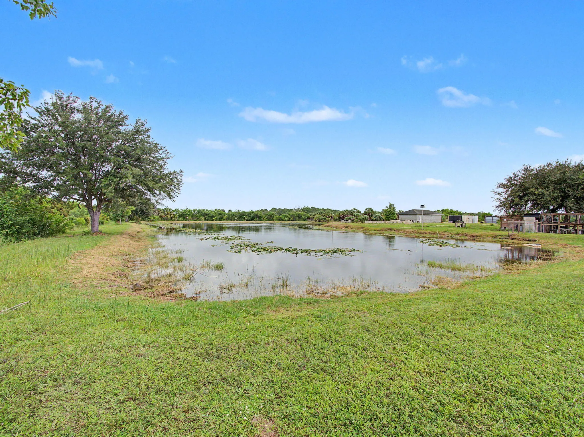 Property photo 49