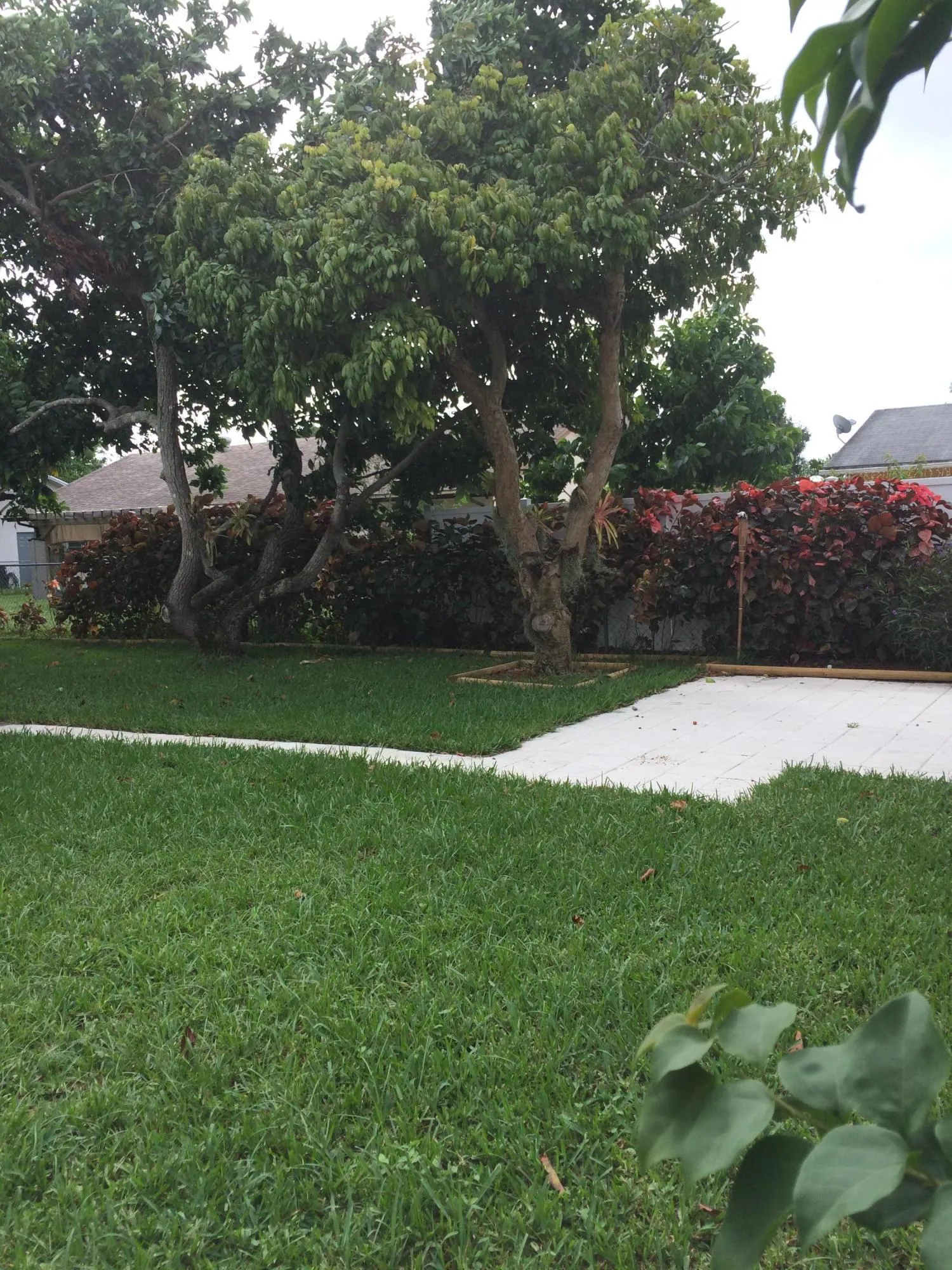 9646 backyard 2n