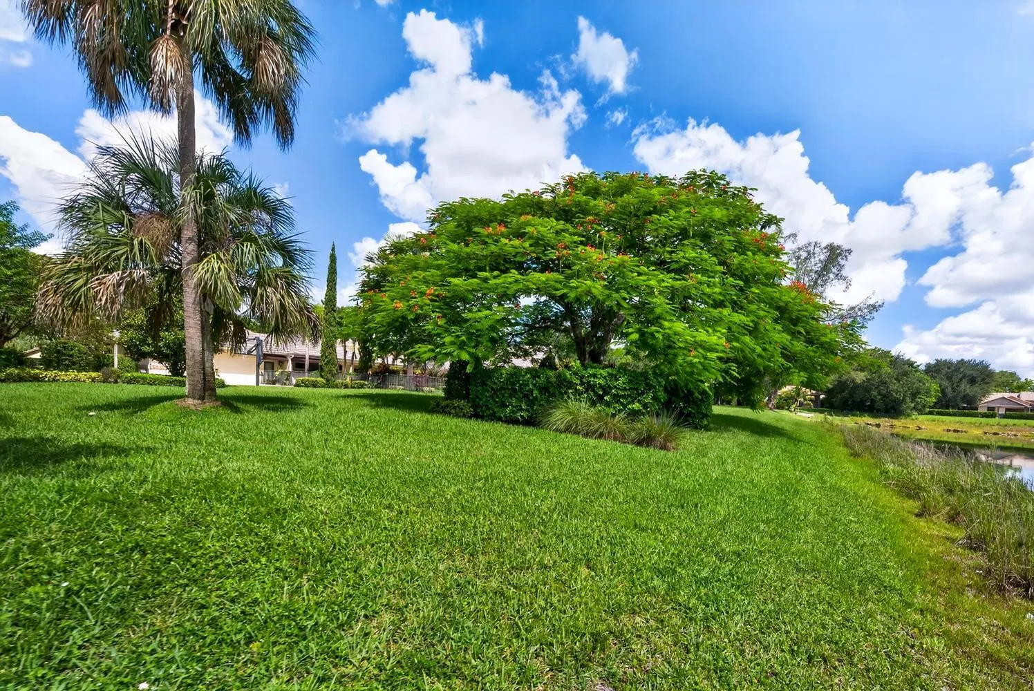 Property photo 82