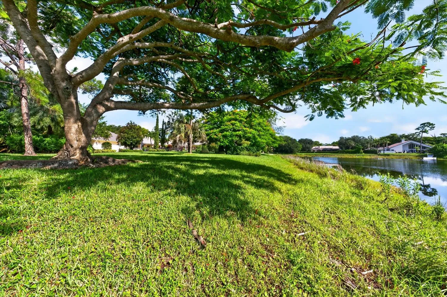 Property photo 94