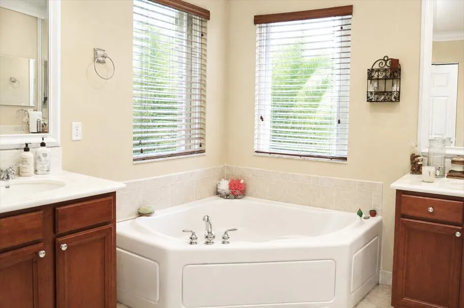 Master Bathroom View
