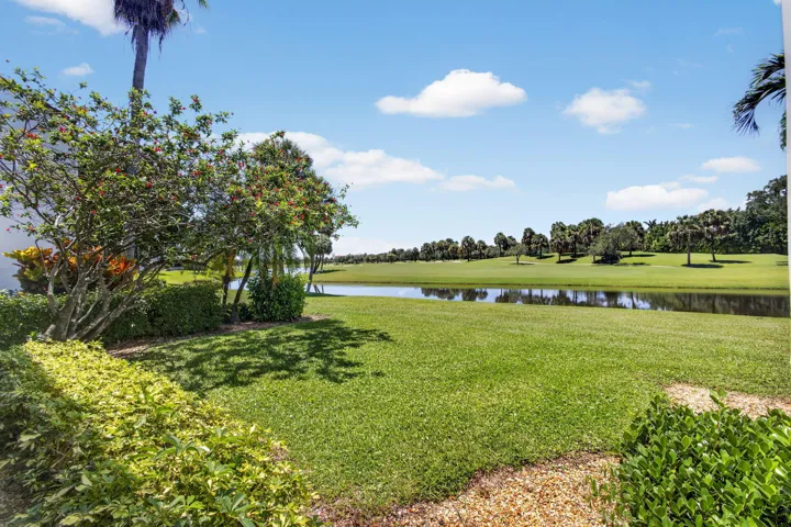 64-web-or-mls-5D1A0707