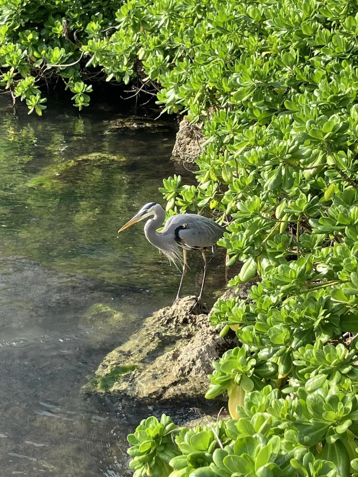 Property photo 38