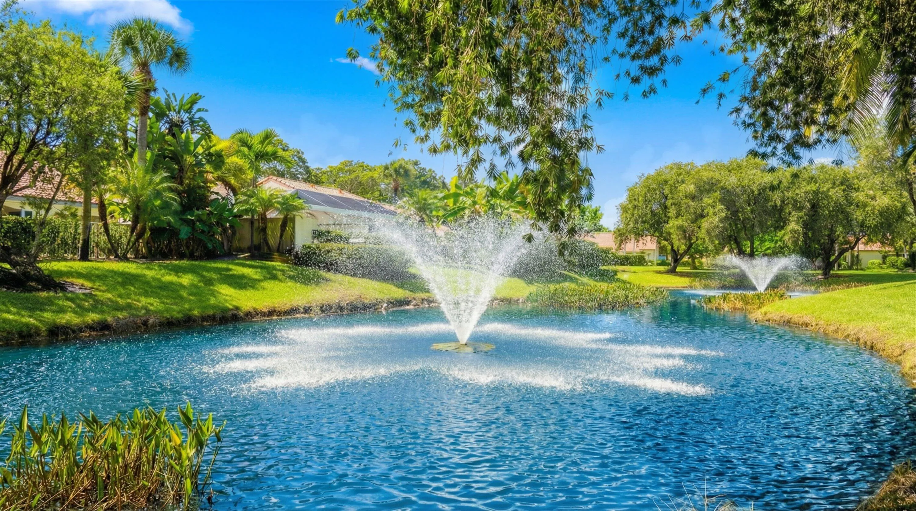 29-Backyard