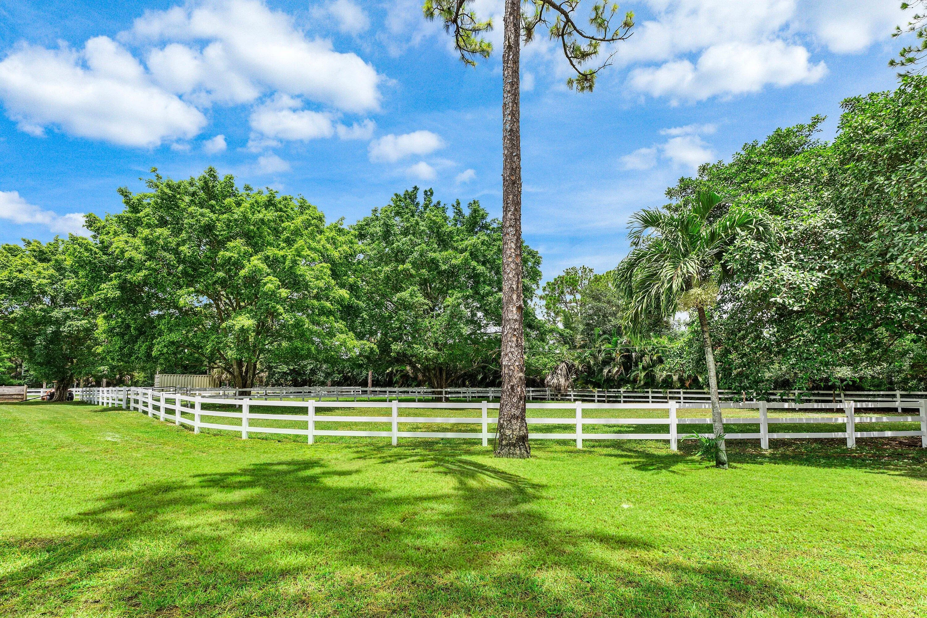 Property photo 47