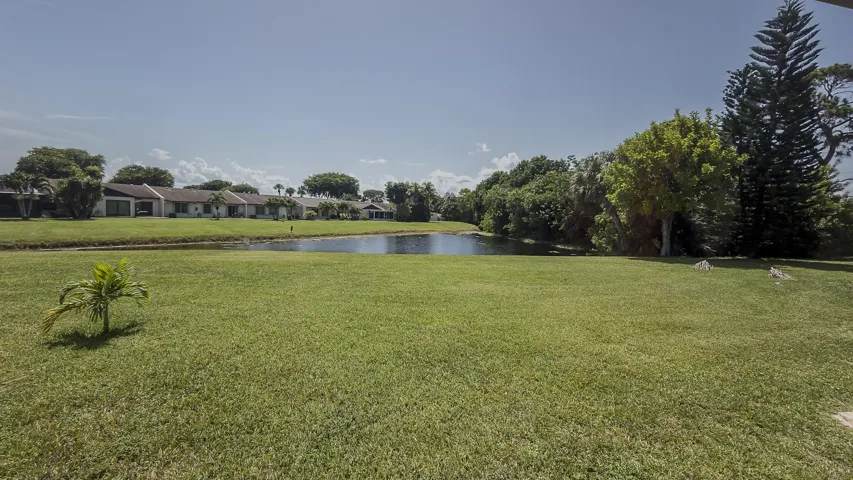 Backyard Water View