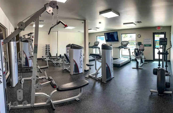 Gym - Workout