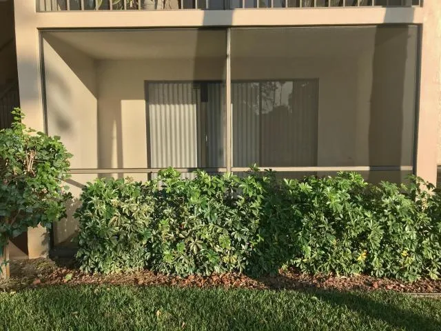 Screened Patio