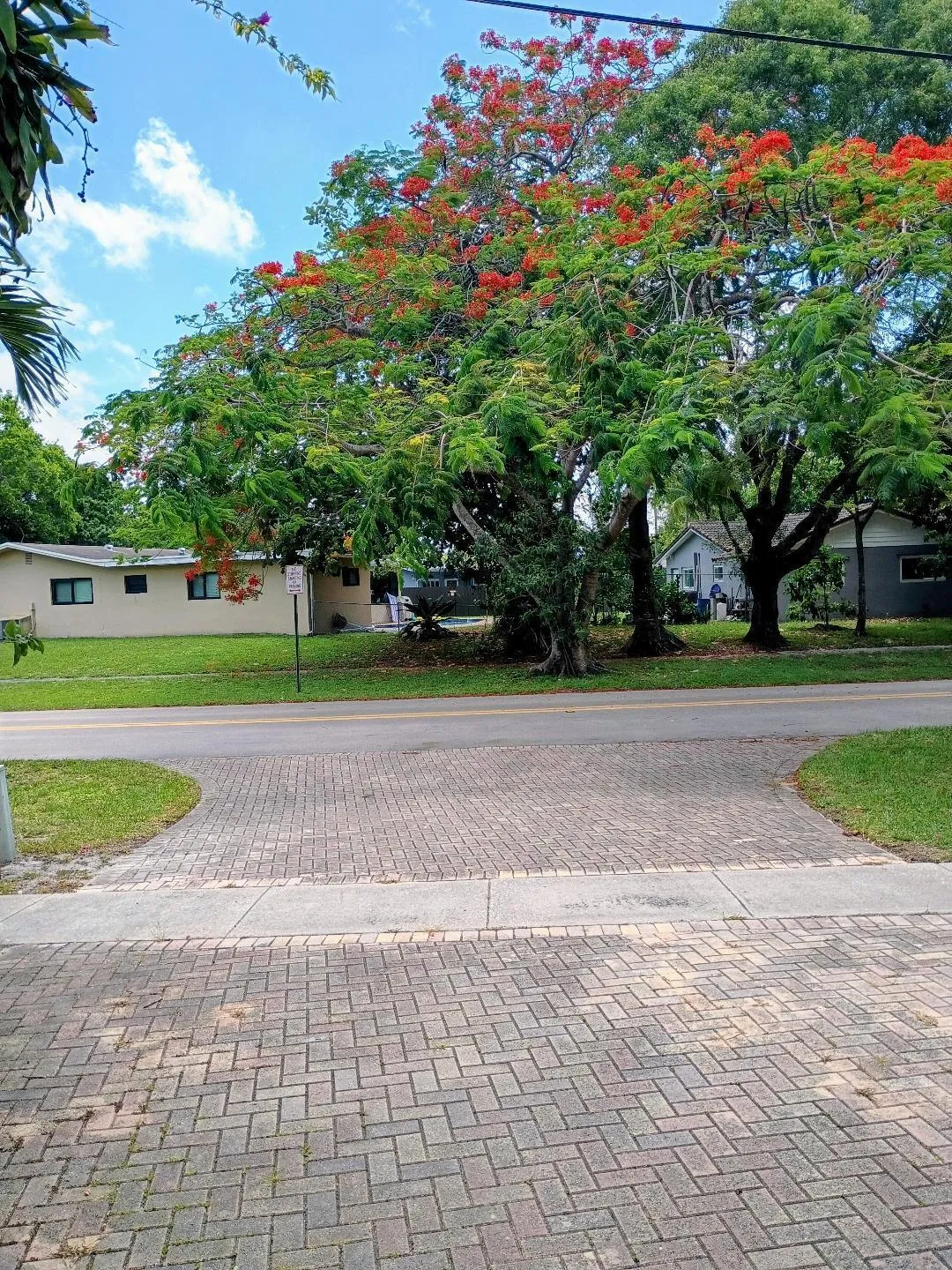 DRIVE WAY