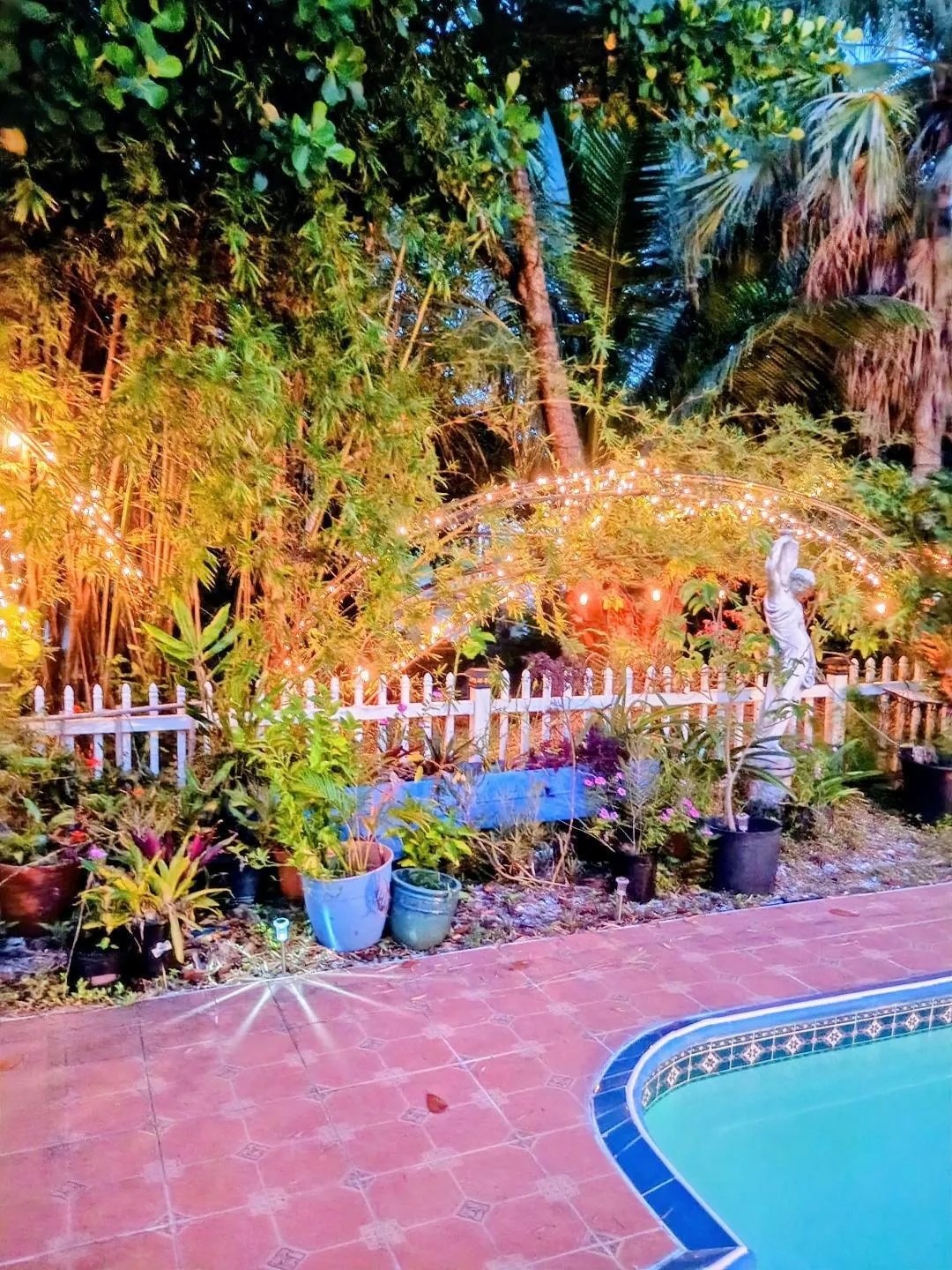 BACK YARD NIGHT