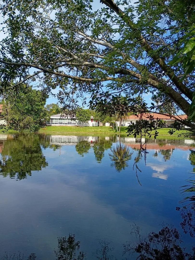 BACK YARD WATER FRONT
