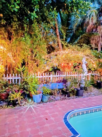 BACK YARD NIGHT