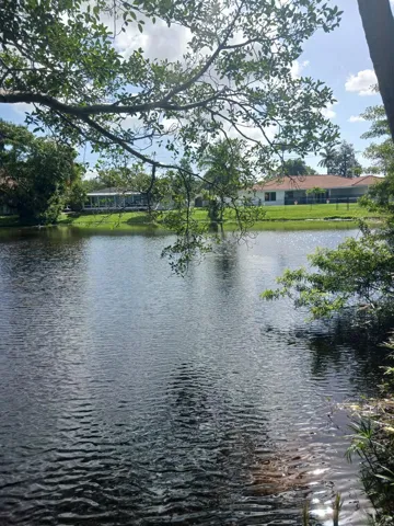 BACK YARD WATER 2