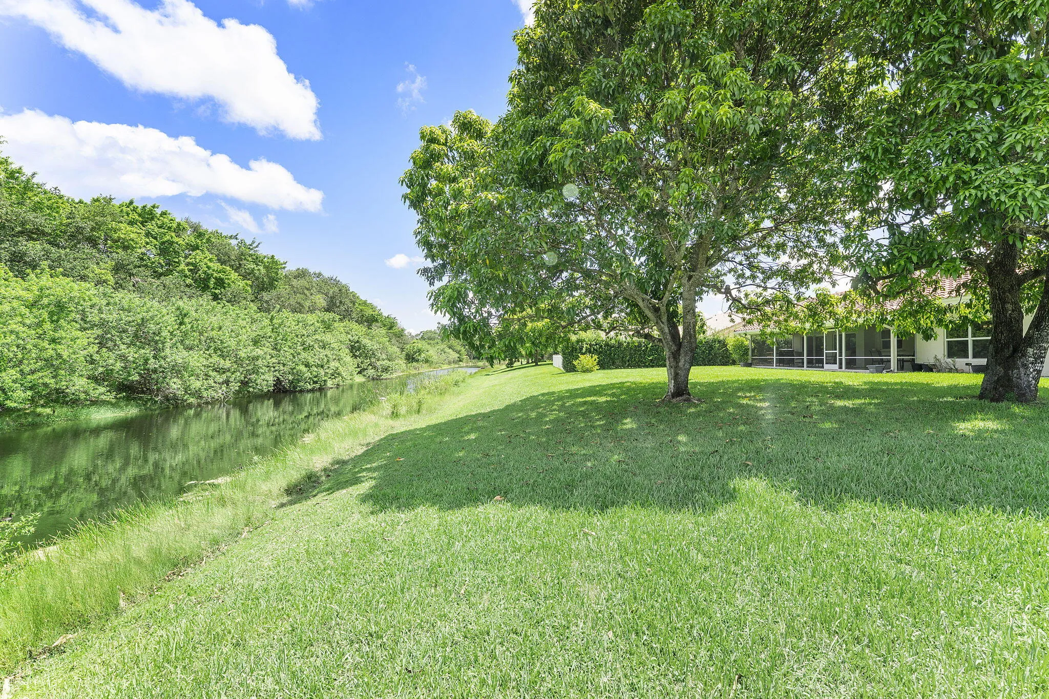 58-web-or-mls-DSC09116