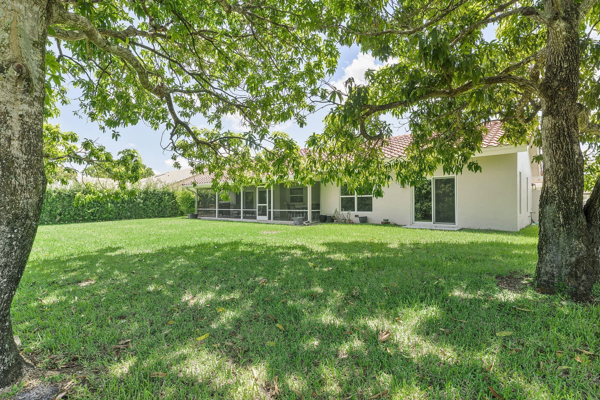 57-web-or-mls-DSC09113