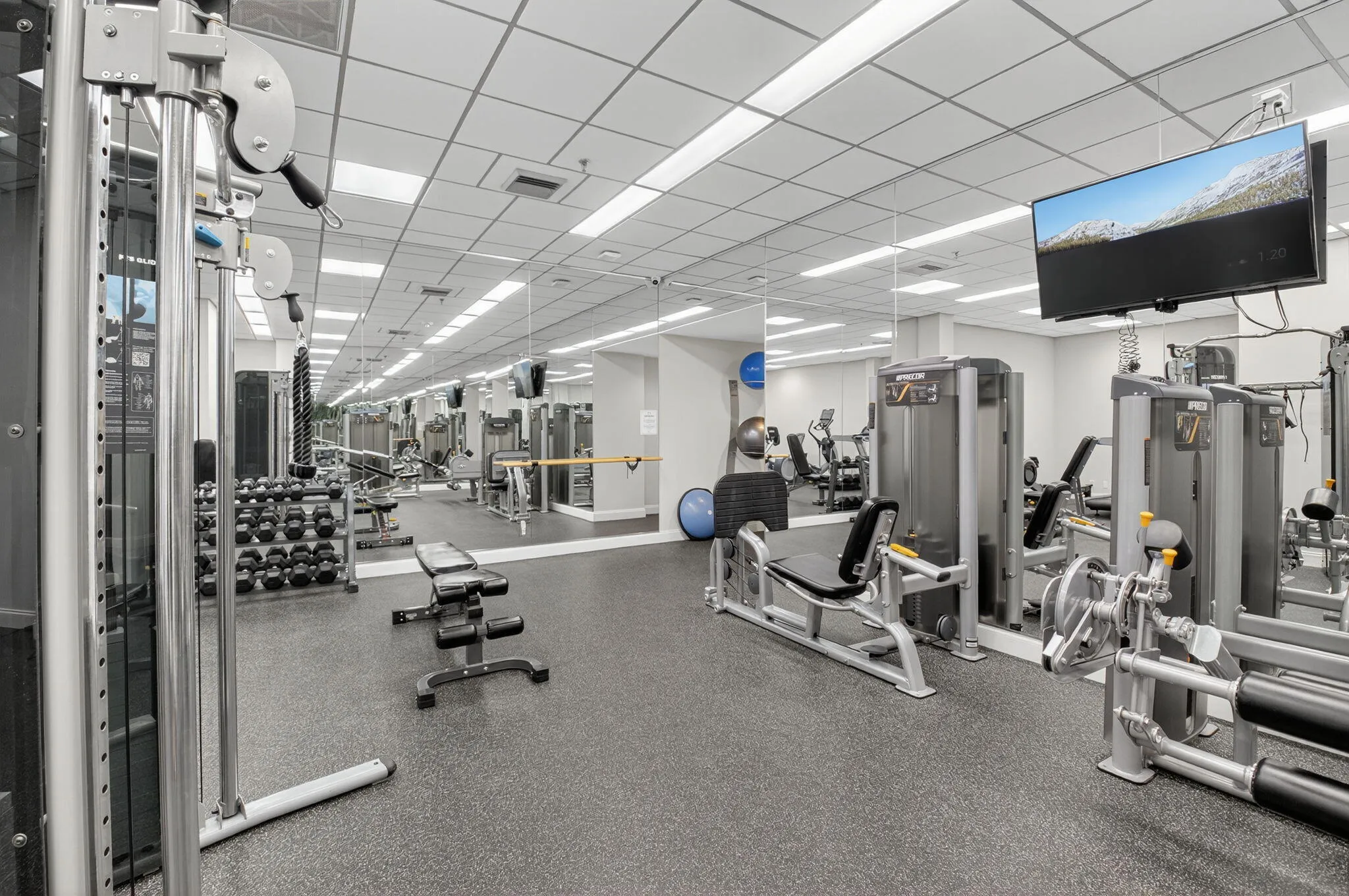 More Gym
