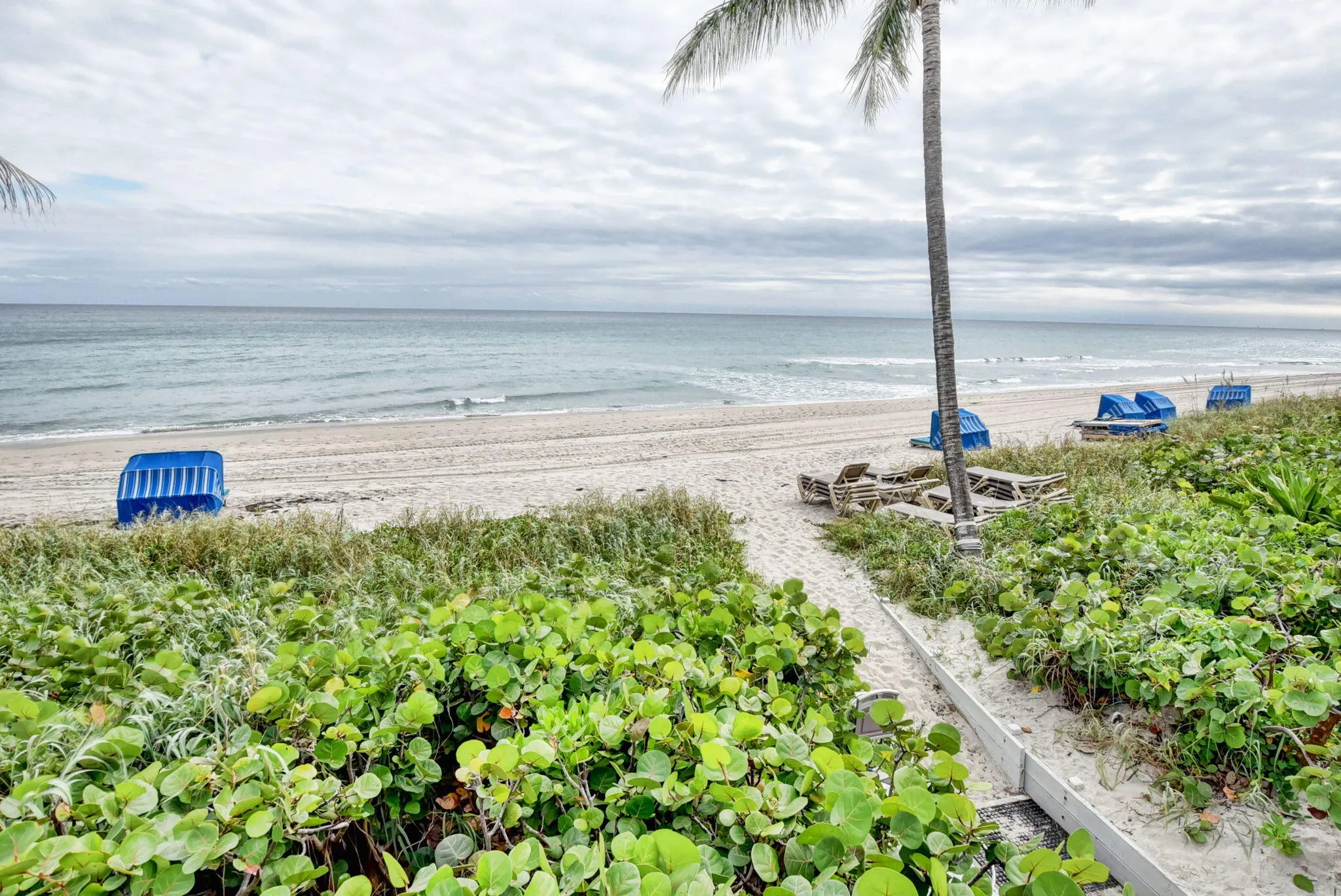 Rent from Oceanside Beach Service