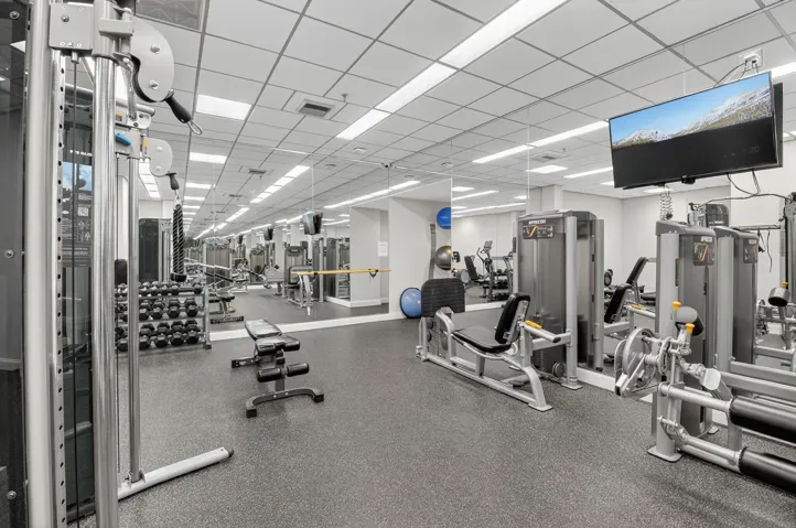 More Gym