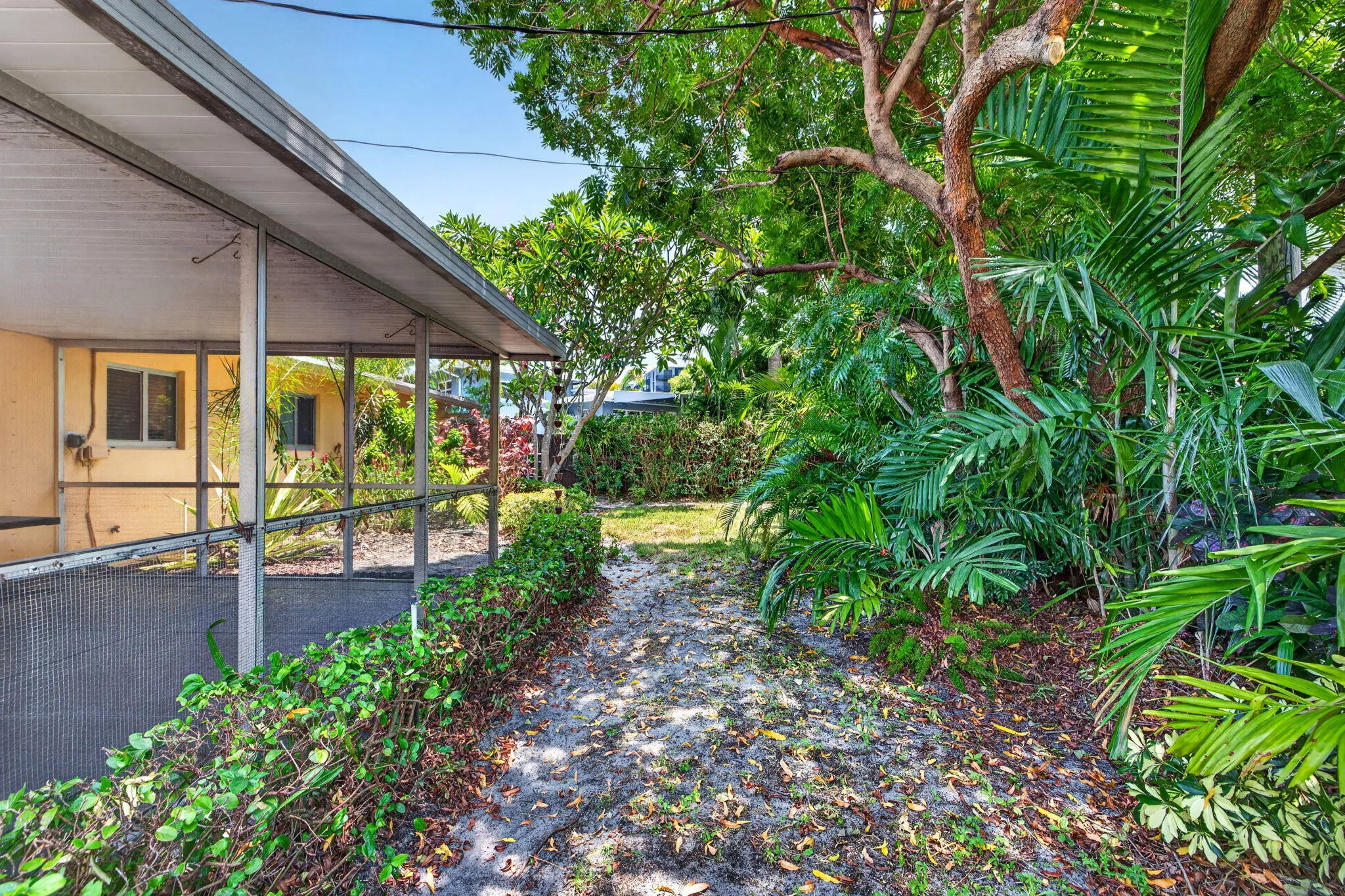 43-web-or-mls-699A9426