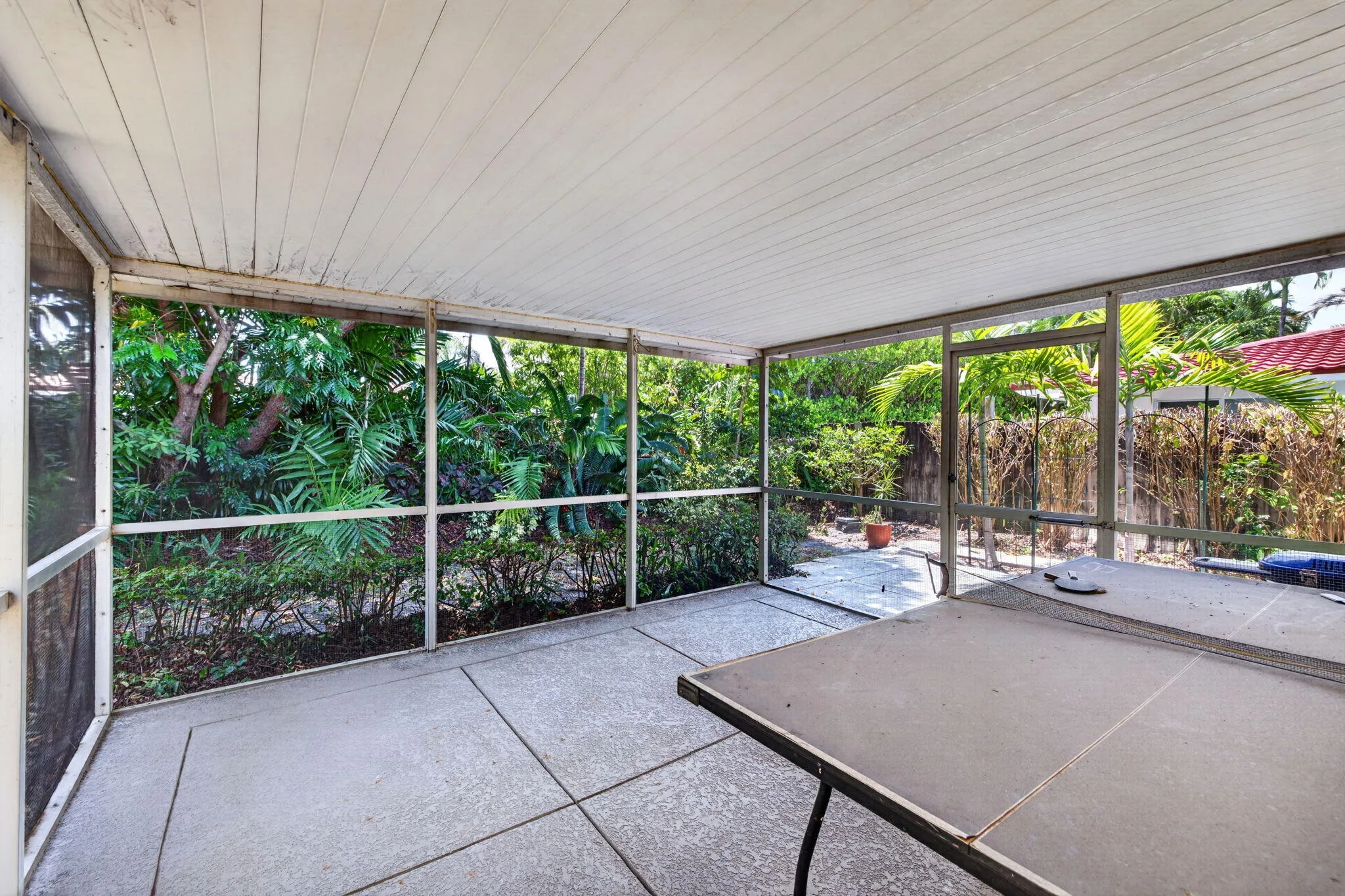 35-web-or-mls-699A9356