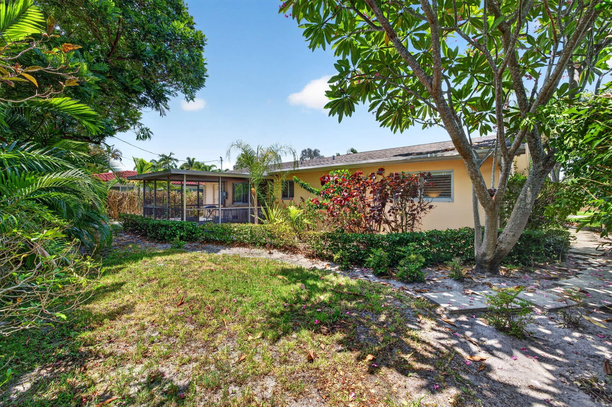 49-web-or-mls-699A9482