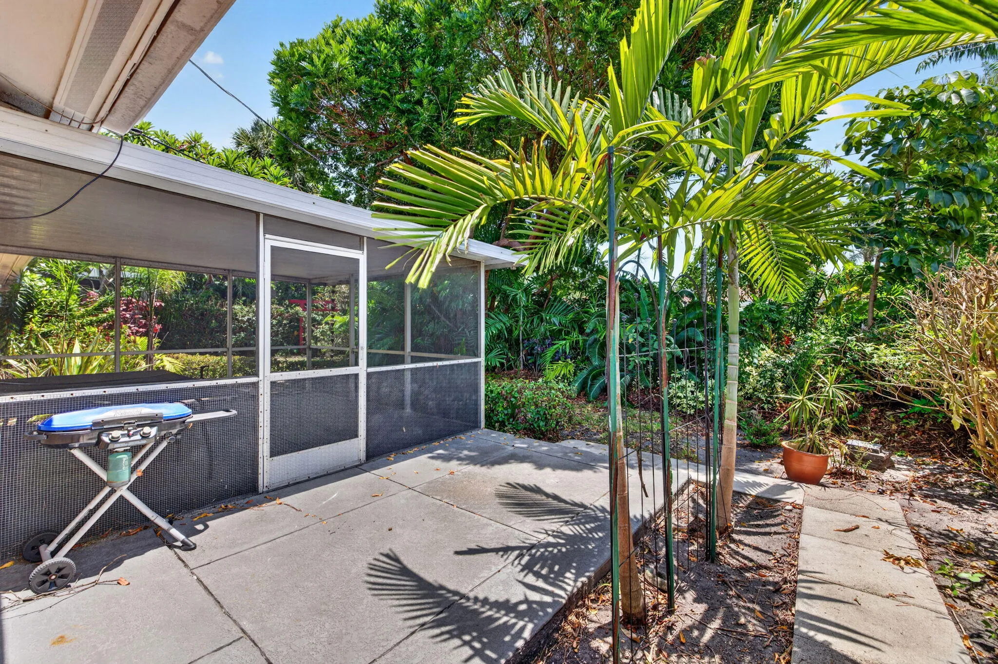 39-web-or-mls-699A9380