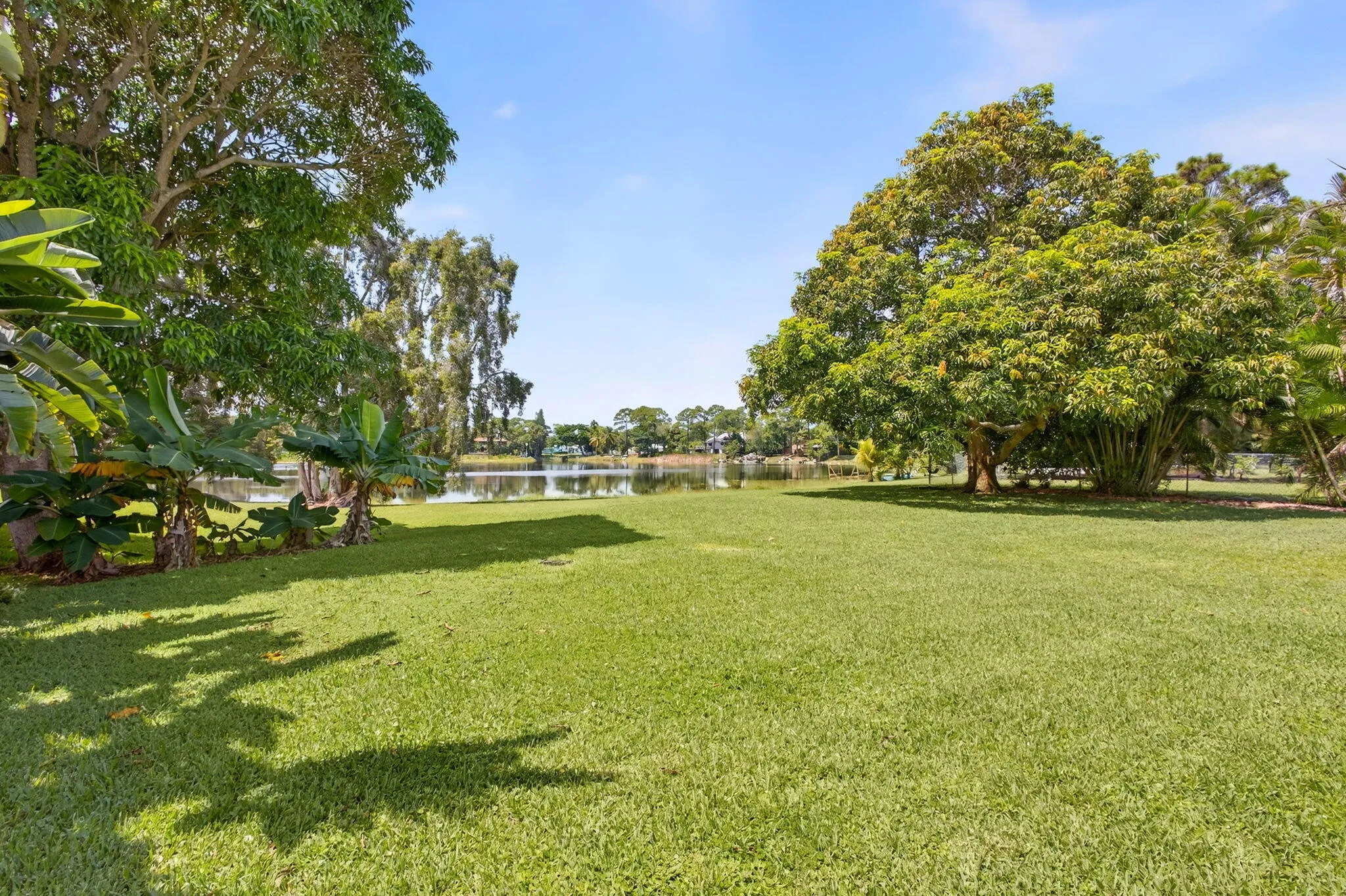 Property photo 79