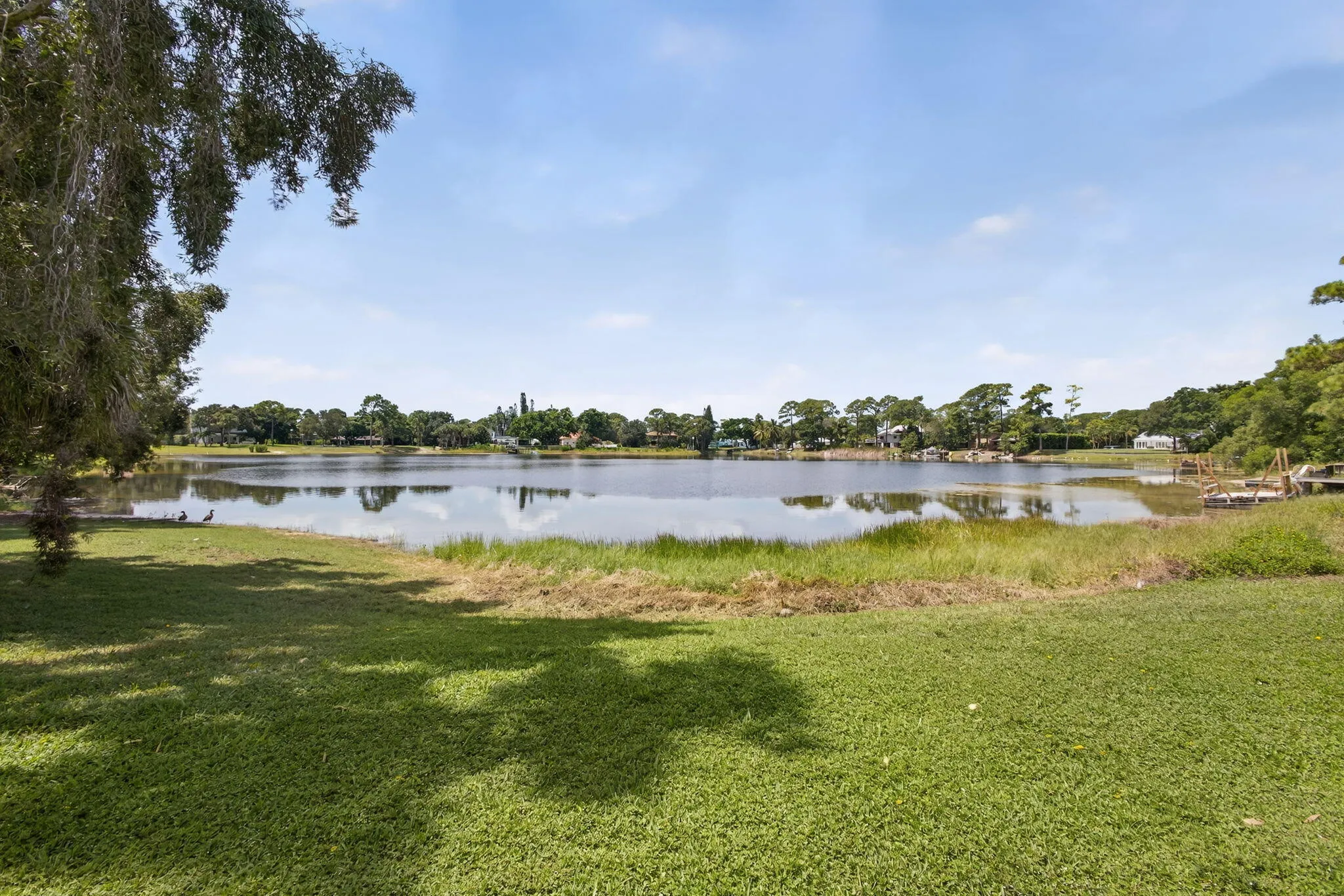 Property photo 84
