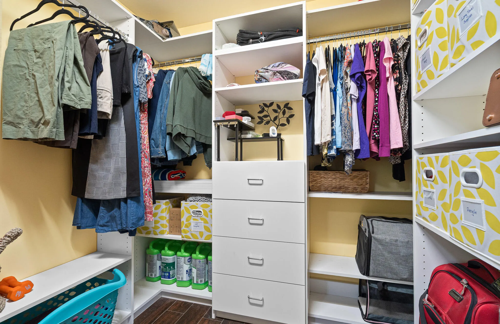 primary closet