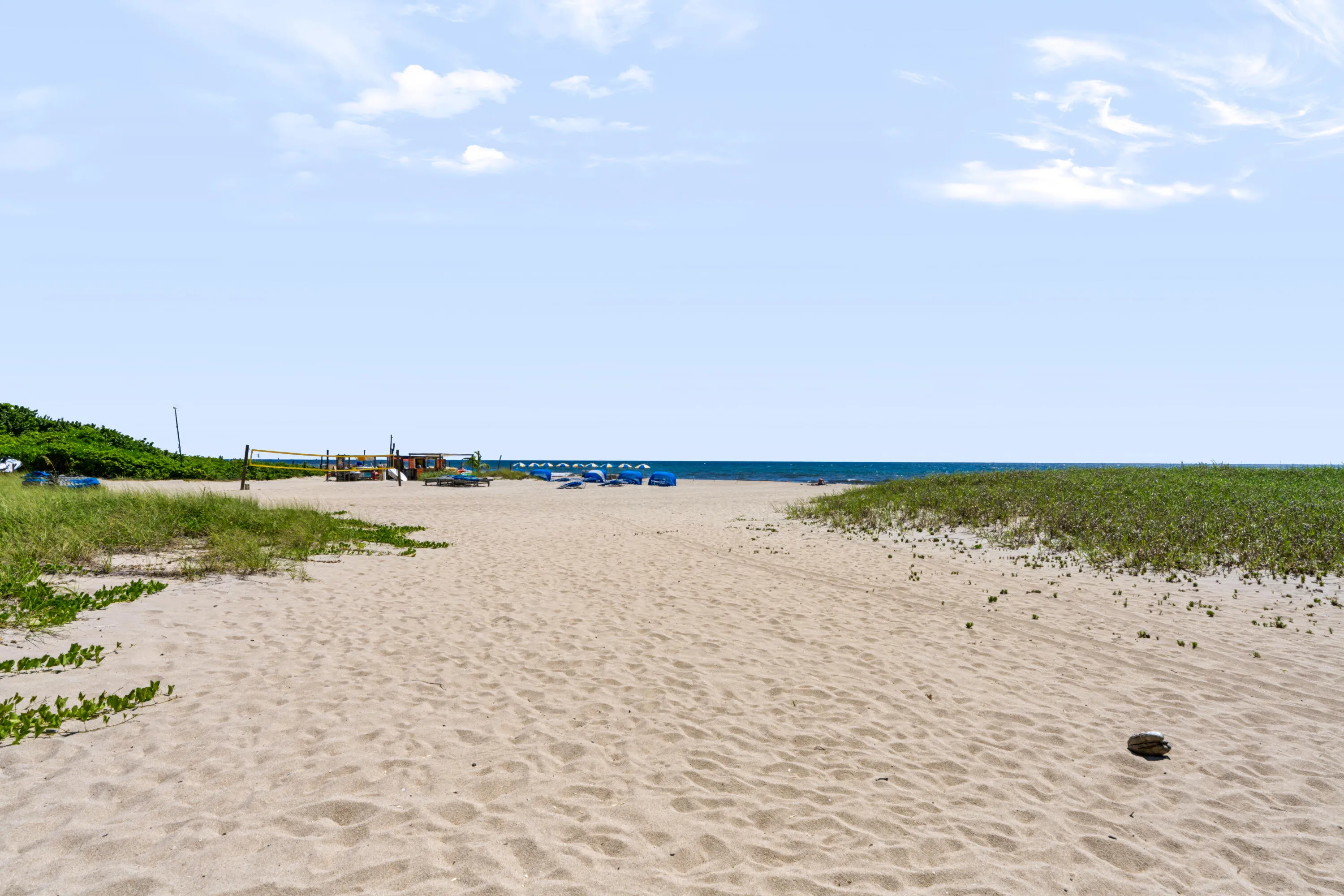 Expansive sandy beach with ocean access, natural vegetation, and a volleyball net