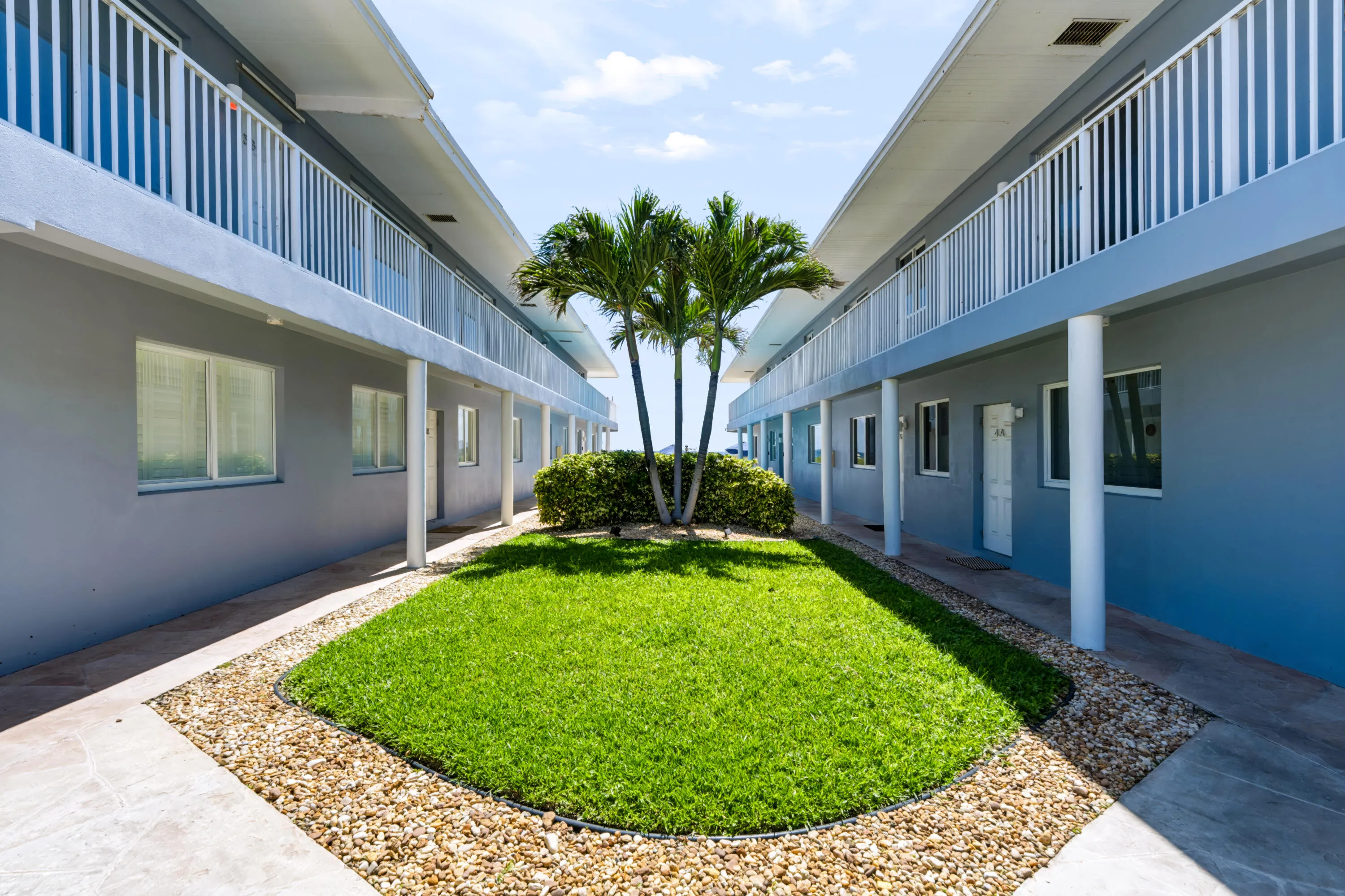 Dual-building courtyard with manicured lawn, mature palm tree centerpiece, and decorative stone borders