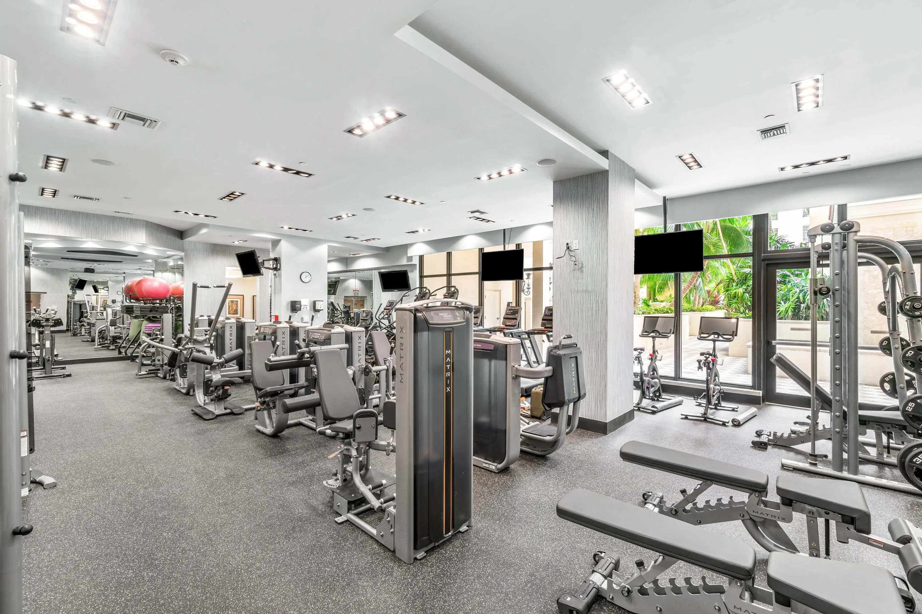 Fully Renovated Gym