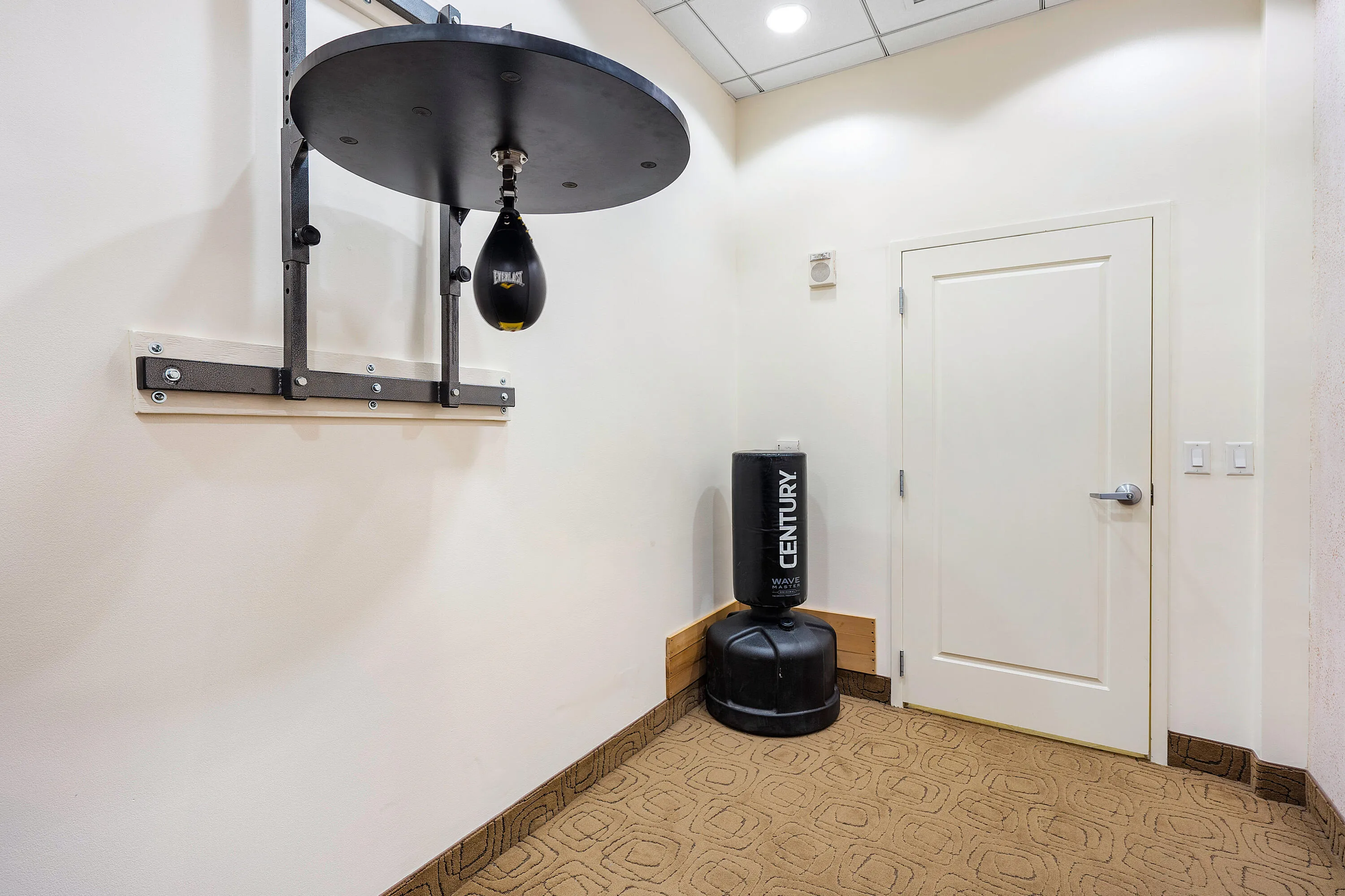 Massage & Therpay Room